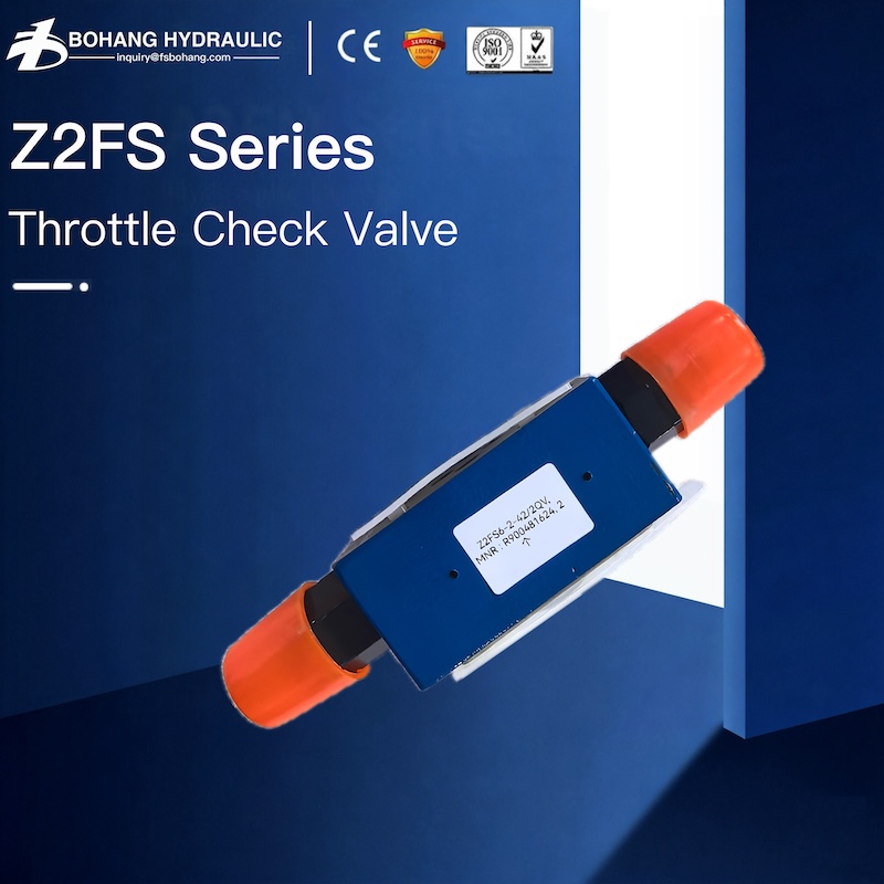 Z2FS Throttle check valves